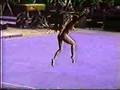 1991 World Pro gymnastics Lavinia Agache floor exercise