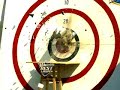 Beer Cannon vs. Cats!
