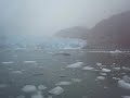 LeConte Glacier - Part 8