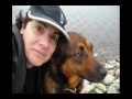 STOP BRINDI FROM BEING UNJUSTLY EUTHANIZED IN HALIFAX, NOVA SCOTIA CANADA
