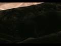 Tourrettes-Cat