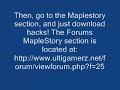 MapleStory PinCracker V.48