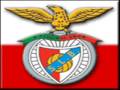 NN Força Benfica Vence por nós