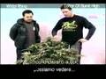 Green House Seed Co White Rhino Grow with Italian Subtitles