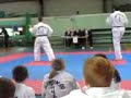 UCD TAekwondo leinsters 2008