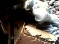 videos de catania il palazzo di cemento