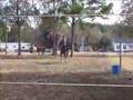 Bareback & Bridleless 1