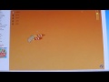 videos de vidéo test flight of the hamsters