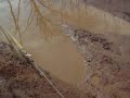 stuck in very deep clay muddy water 2wd chevy 1500 305