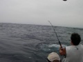 Mon-Ami Marlin.MP4