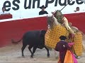 Traditional Castilian culture or barbaric bull baiting...?
