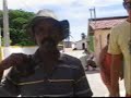 furiudo de galinhos