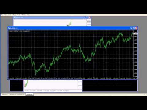 Forex scanner quantum elite