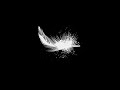 Jaroslaw Kubicki &amp; Bartosz Hervy - Rumours About Angels II