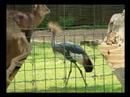 c'est chouette le zoo