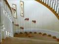 Slither Trailer