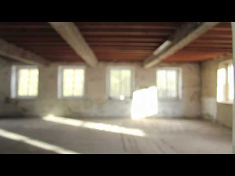 Olivia Punnet - Dust