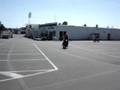 rassenblemen de moto