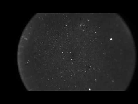 Meteors: Perseids, sporadics, Aug. 13, 2018 uploaded by Allan Meyer