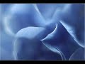 Antonio Vivaldi: Concerto for bassoon, strings & b.c. in A minor (RV 498) - I. II. III.