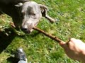 Riley-Go-Round Riley-Go-Round