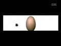 Kur?unun delip ge�me an?