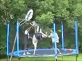 funny-stuff-basket-ball-nbas-greatest-fights-2.html