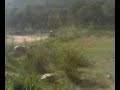 quad 200 blaster saut CC