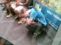 cranny boyz 08.wmv