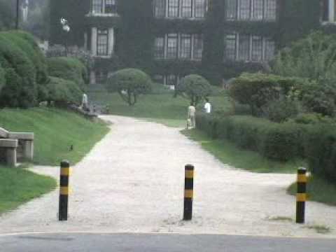 私のSassy Girl位置の2005/07/21、22 1