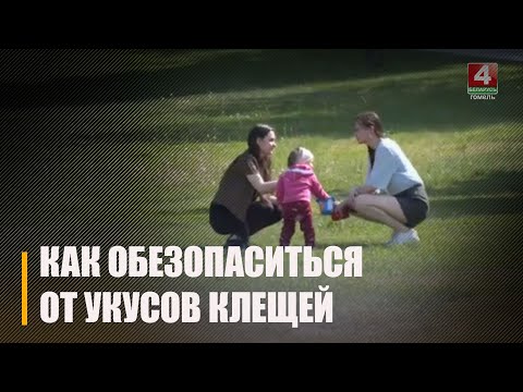 С наступлением тепла на территории Беларуси активизировались клещи видео