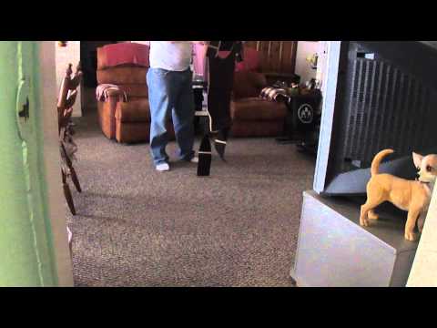 how to prove diminished value