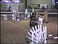 Wilfong Bucking Bulls, Pin Oak Horse Show Hunter/Jumper Wilfong Bucking Bulls, Pin Oak Horse Show Hunter/Jumper