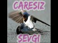 dj~~$iyar
