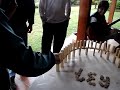 juego ingenio juego ingenio