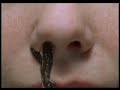 Bj�rk - Hidden Place