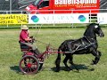 eurocheval 2008