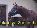 Smarty Jones @ Three Chimneys 2007