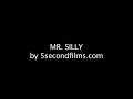 Mr. Silly