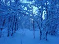 Bilder fra Troms