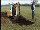 Ancient Warburton - The Early Days