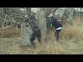 Farmstead 2 (Part 3) Farmstead 2 (Part 3)