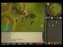 Runescape - Top-10 pkers
