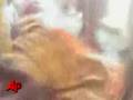 Videos Show Dead Afghanis After U.S. Raid