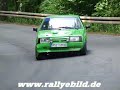 Wildwechsel auf WP1(4.ADMV Rallye Freiberg 2008)