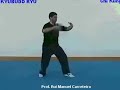 Qi Gong - Kyubudo Ryu