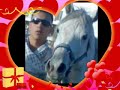 حفيد لهيب مراد فرقة العذاب عاشق الخيل