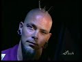 metal Mohawk