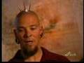 metal Mohawk