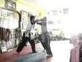 videos de MAMFMA & Defenders Friendly Tournament - Laraw Martial Arts Demo